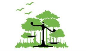 Environmental law