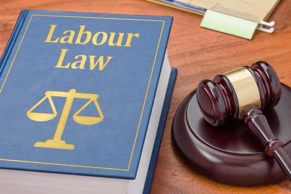article 32 introduction Labour Law